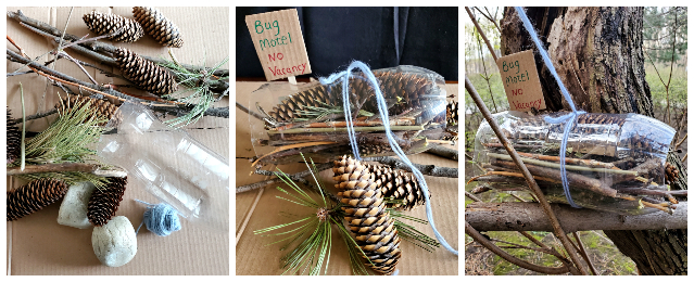 Bug motel craft with sticks and pinecones in a plastic bottle