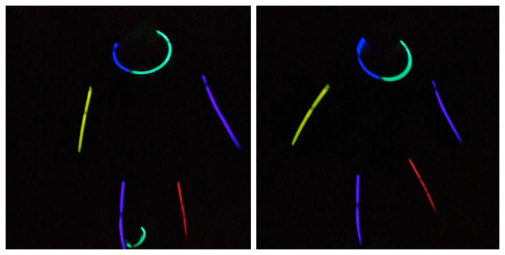 Dance Glow Sticks 