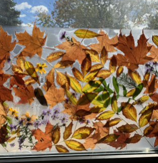 Leaf collage shop