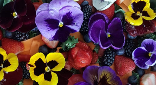 Colourful spring flowers